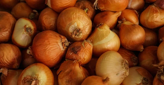 OnionImage