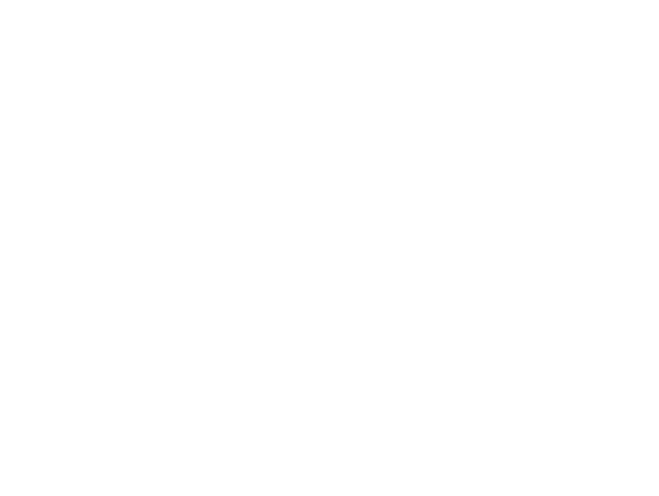 翻訳済レポート