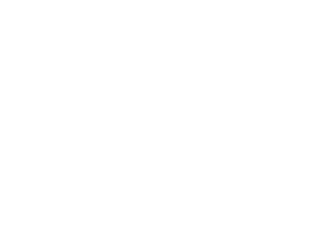 翻訳済レポート